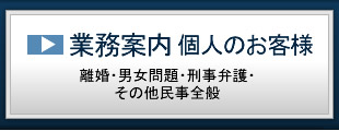 東京 弁護士 刑事弁護